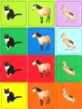 Lotto: Zwierzęta z farmy - Uszkodzone