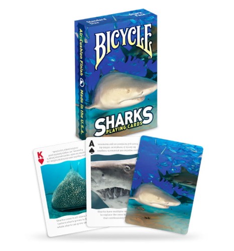 Bicycle: Sharks