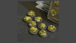 Highland Bases, Round Lip 30mm (x8)