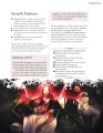 Wampir: Maskarada - Świeża krew