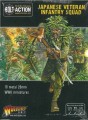Bolt Action: Japanese Veteran Infantry Squad