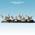 Argatoria: Liagulians Warriors