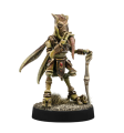 Star Wars Legion: Sun Fac & Poggle the Lesser