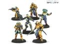 Reinforcements: Yu Jing Pack Alpha