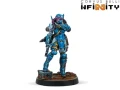 Infinity:  Dire Foes Mission Pack 15 - Barrenlands