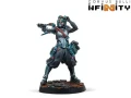 Infinity:  Dire Foes Mission Pack 15 - Barrenlands