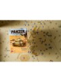 Panzer North Africa