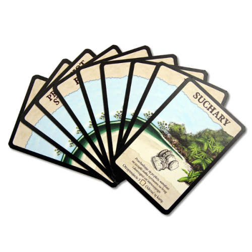 Robinson Crusoe: Przeszukanie Plaży