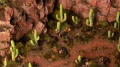 Saguaro Cacti - Basing Bits
