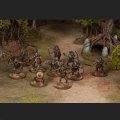 Goblin Warband