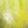 Slimy Grime Light - Weathering FX 73.823