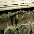 Crushed Grass - Weathering FX 73.825