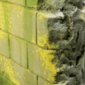 Moss and Lichen - Weathering FX 73.827