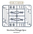 Macedonians: Phalangites Plastic Set