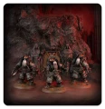 Charonite Ogryn Section