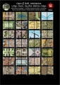A Giant Book of Battle Mats - Dragon Lairs & Dungeons