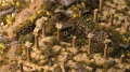 Gamers Grass: Mediterranean Temple Basing Box
