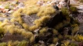 Gamers Grass: Beige Tuft (4mm) small