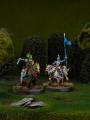 Feudom Knights