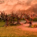 Terrain Crate: Fantasy Forest