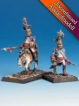 Chevalier Calembour