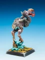 Dodo of Doom