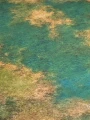 Swamp Gaming Mat 90x90 cm