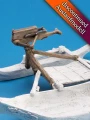 Ballista