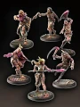 An Dan Faction Starter