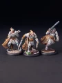 Hirdmen