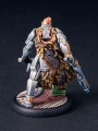 Hirdmen