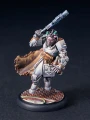 Hirdmen