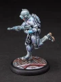 Marines