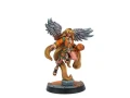 Infinity HexaDome Legends Core Box