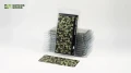 Laser Plants - Bugloss