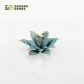 Laser Plants - Blue Agave