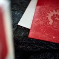 Guildpact Series - Boros Legion - Matte Dual Art Sleeves