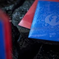 Guildpact Series - Izzet League - Matte Dual Art Sleeves
