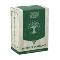 Guildpact Series - Selesnya Conclave - Matte Dual Art Sleeves