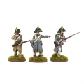 French Infantry in Greatcoats (1804-1814)