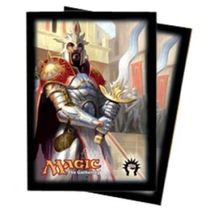 Dragons Maze Deck Protectors Series 9