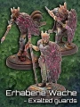 Exalted Guards