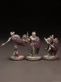 Exalted Guards