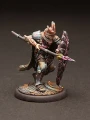 Exalted Guards