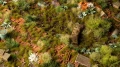 Gamers Grass: Dry Green Tuft (2mm)