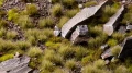 Gamers Grass: Dry Green Tuft (6mm) - wild