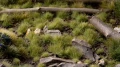 Gamers Grass: Green Tuft (4mm) - wild