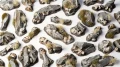 Gamers Grass: Basing Bits - Rocks