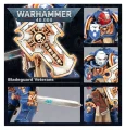 Bladeguard Veteran Squad