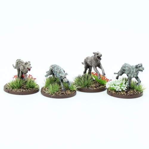 Irish - Warhounds